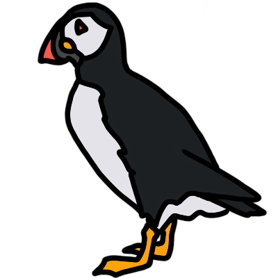 an Atlantic puffin facing the left